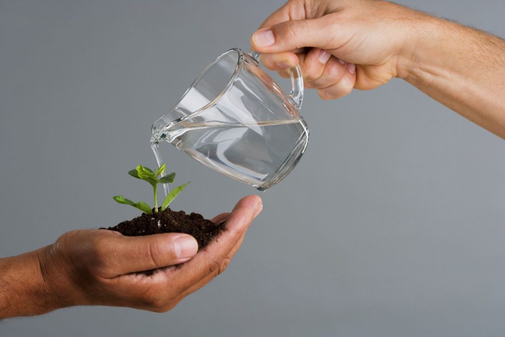 Mulai Kecil, Tetap Ada, dan Tidak Perlu Sempurna